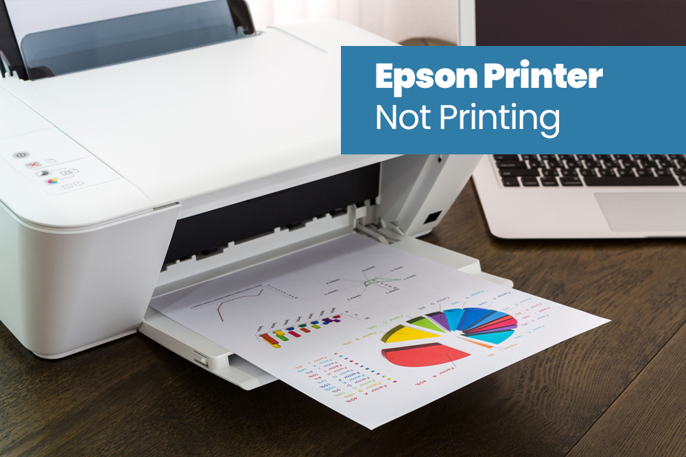 HP-Printer-Not-Printing